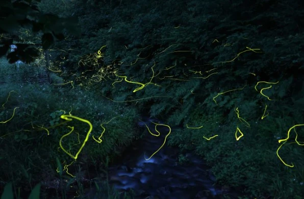 202605211450-4181732100.png image.png