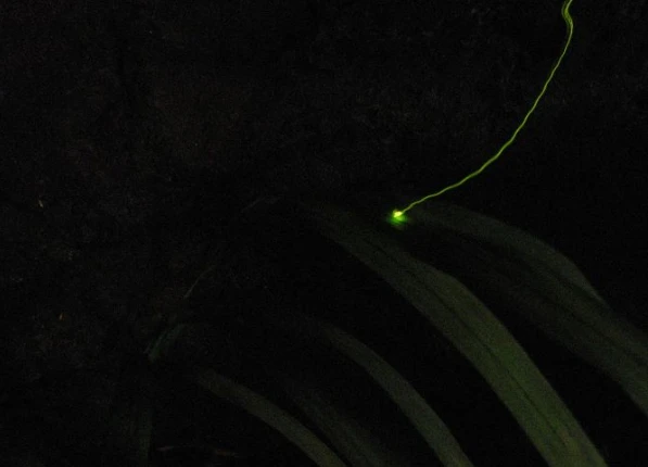 202605211451-7544510148.png image.png