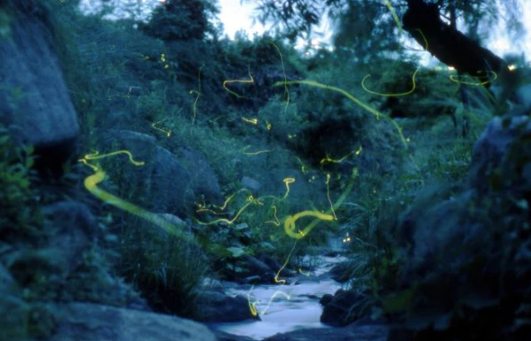 202605211451-8649276447.png image.png
