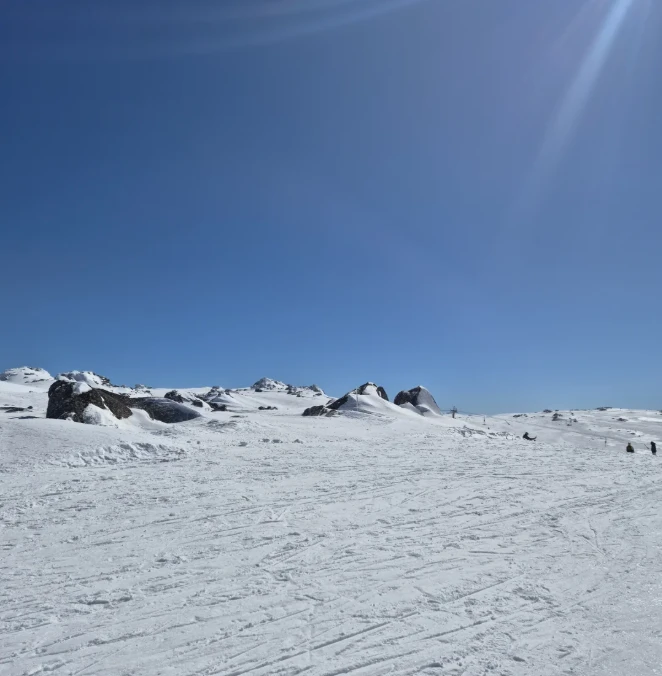 202605211500-3077847454.png image.png