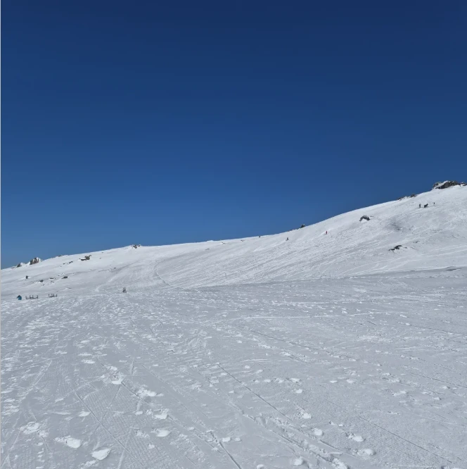 202605211515-9088058939.png image.png