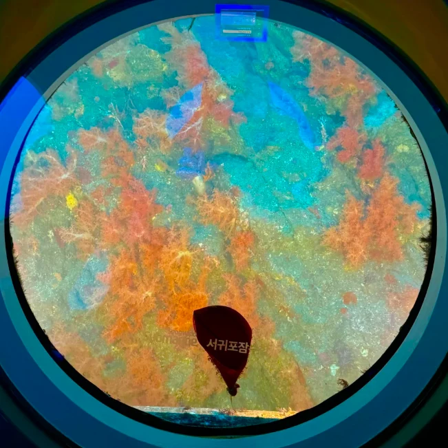 202605221524-9032992338.png image.png