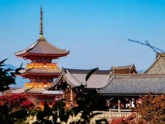 城市介紹