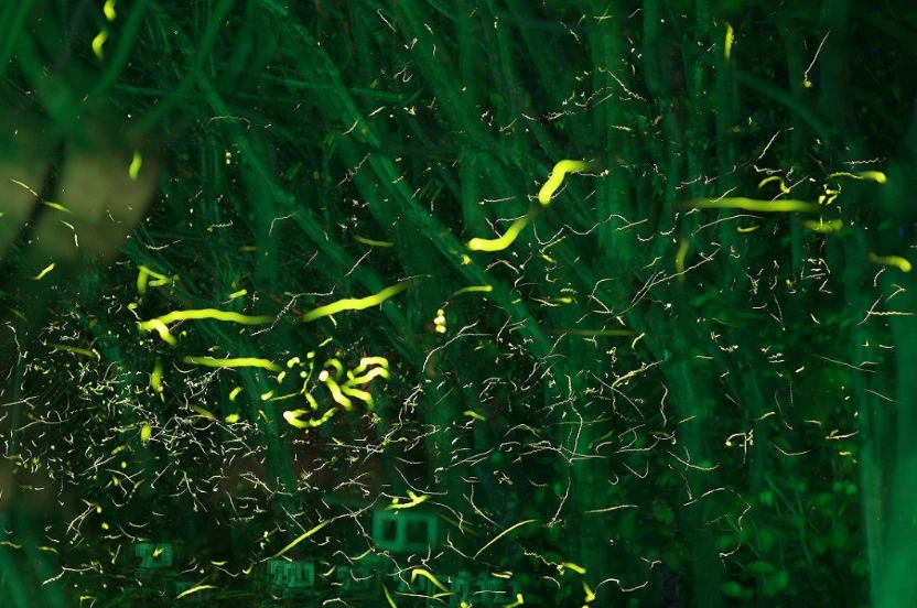 202605251002-8841724663.png image.png
