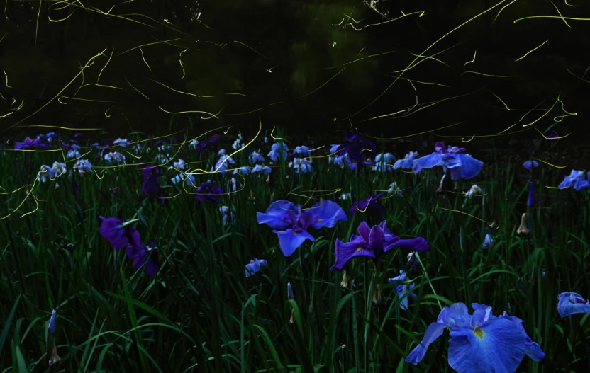 202605251003-2348837067.png image.png