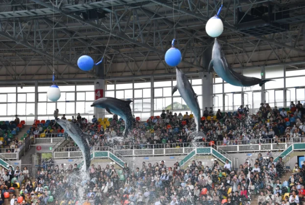202605260951-6853586620.png image.png