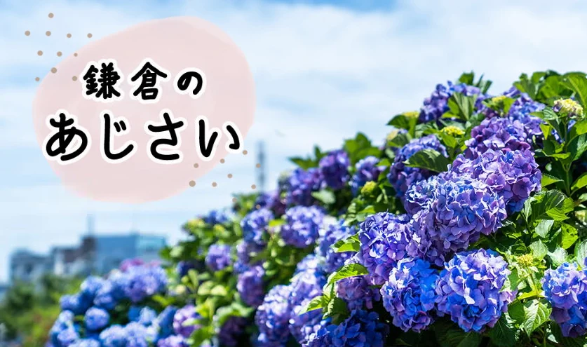 202605260955-1086592504.png image.png
