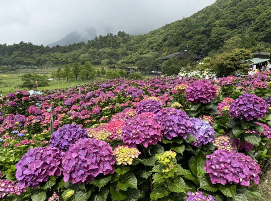 202605261756-9127436160.webp wechat_2026-05-26_175403_979_webp.webp