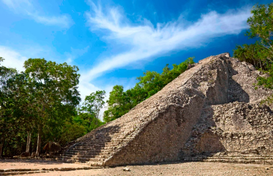 資訊配圖 4