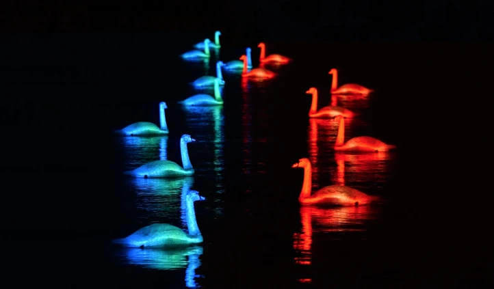 202605271343-1159569146.png image.png
