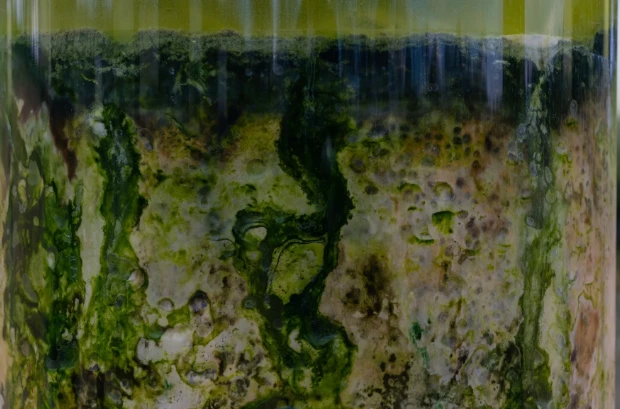 202605271359-9692289724.png image.png
