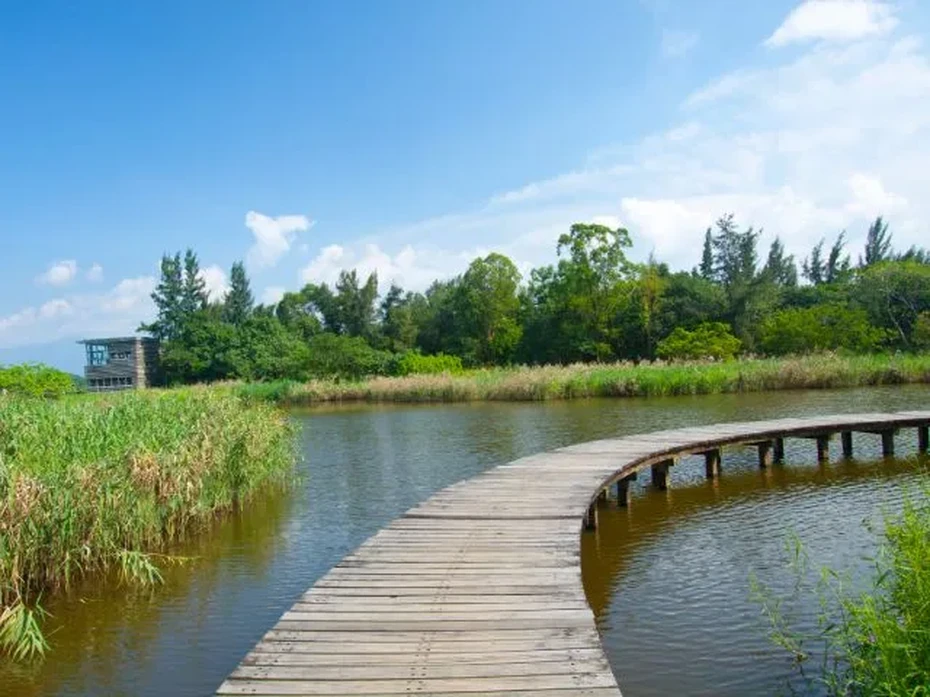 202605301604-4787457652.webp wetland-park-960x720_webp.webp