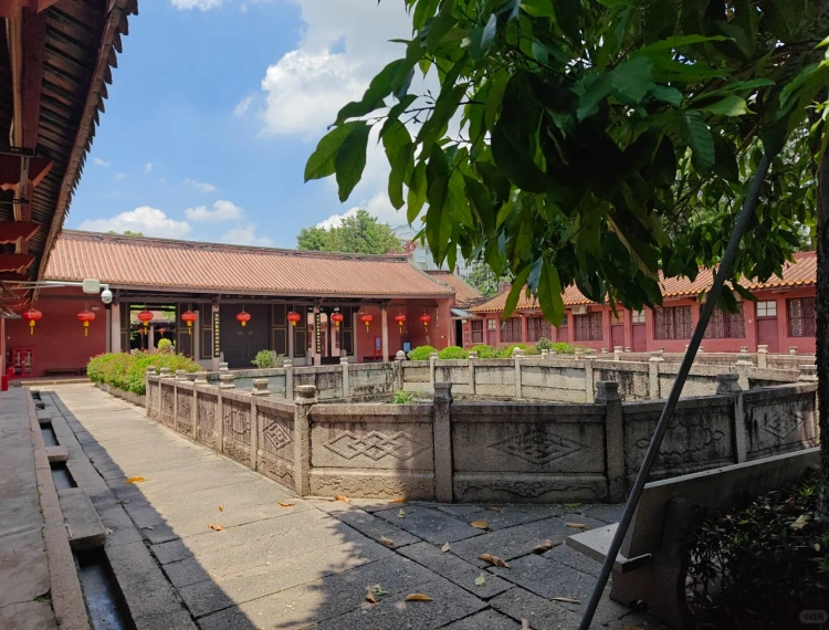 大圖