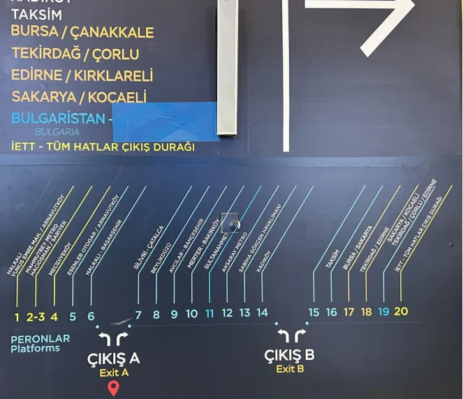 202606011357-7340032782.png image.png