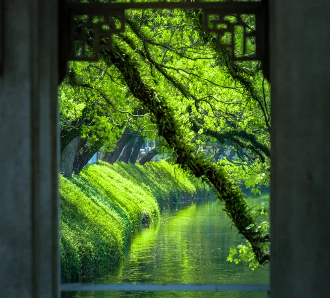 202606011409-5665504698.png image.png