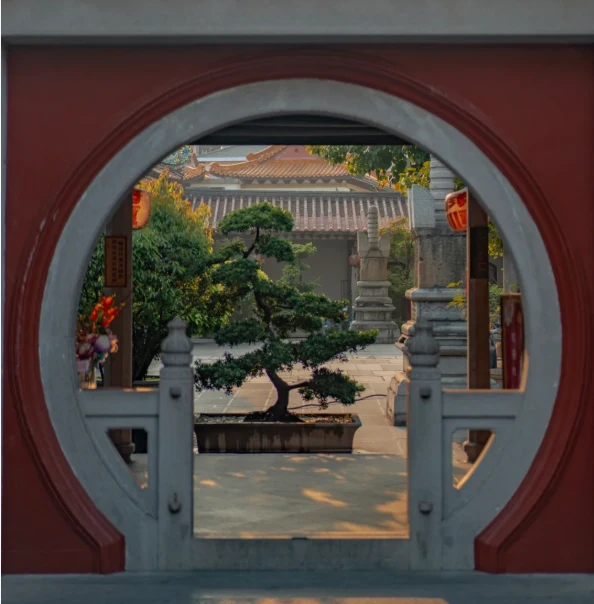 202606011427-1769718285.png image.png