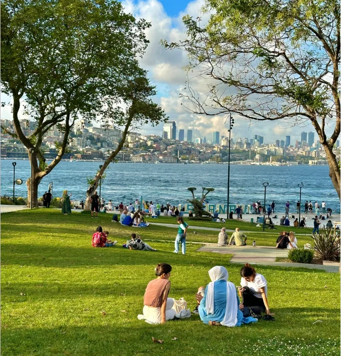 202606021436-3271240033.png image.png
