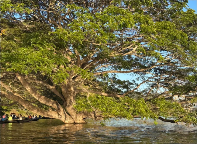 202606021446-6312951624.png image.png