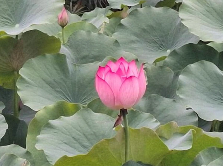 202606021602-6875152718.webp wechat_2026-06-02_160129_553_webp.webp