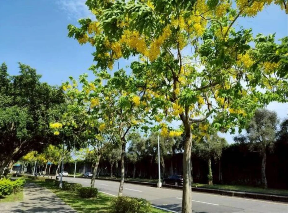 wechat_2026-06-04_103548_358_webp.webp