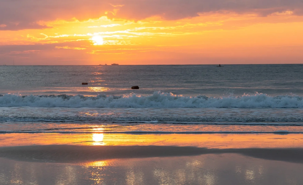0105i12000fnifomw3ADE_W_1920_1080.jpg_.webp