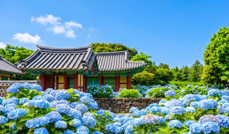 資訊配圖 3