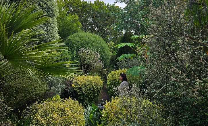 202606081122-8368243513.png image.png