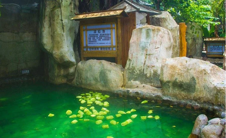 資訊配圖 4