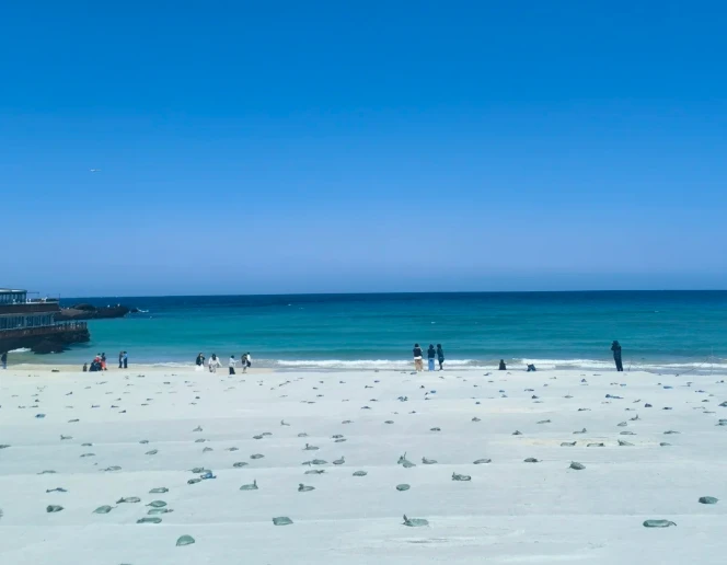 202606101116-4007644584.png image.png