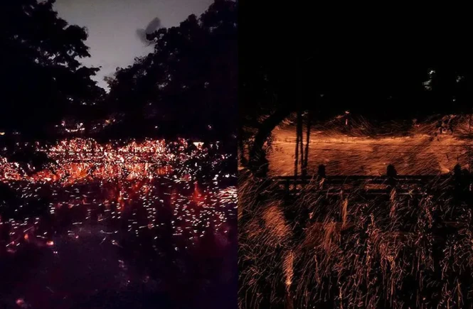 202606111033-8456349376.png image.png