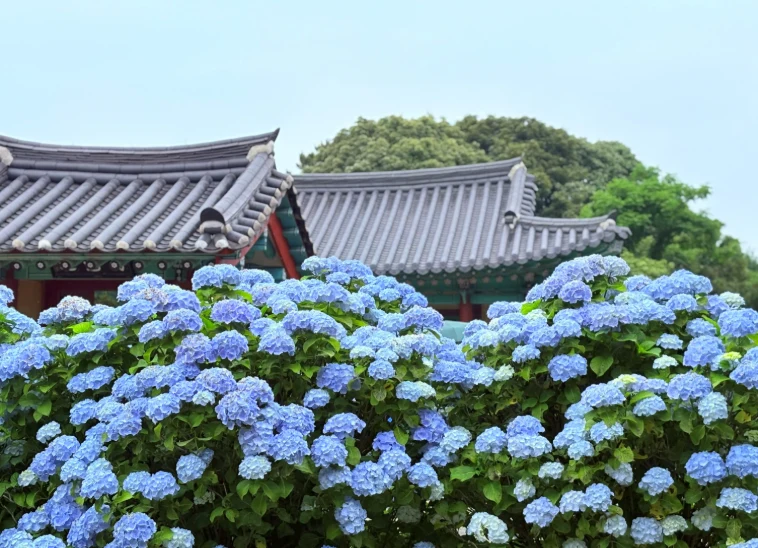 資訊配圖 8