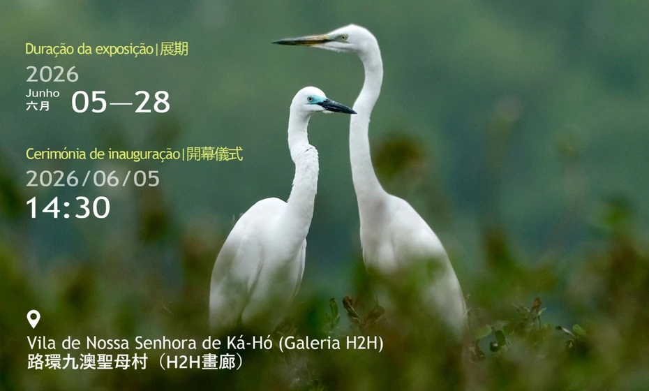 202606151232-5334273977.webp ScreenShot_2026-06-15_123204_204_webp.webp