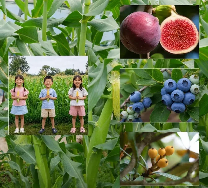 202606151333-5203677017.png image.png