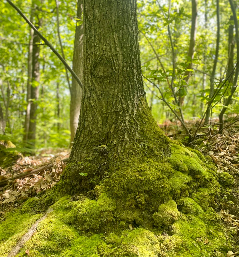 ScreenShot_2026-06-17_162050_311_webp.webp
