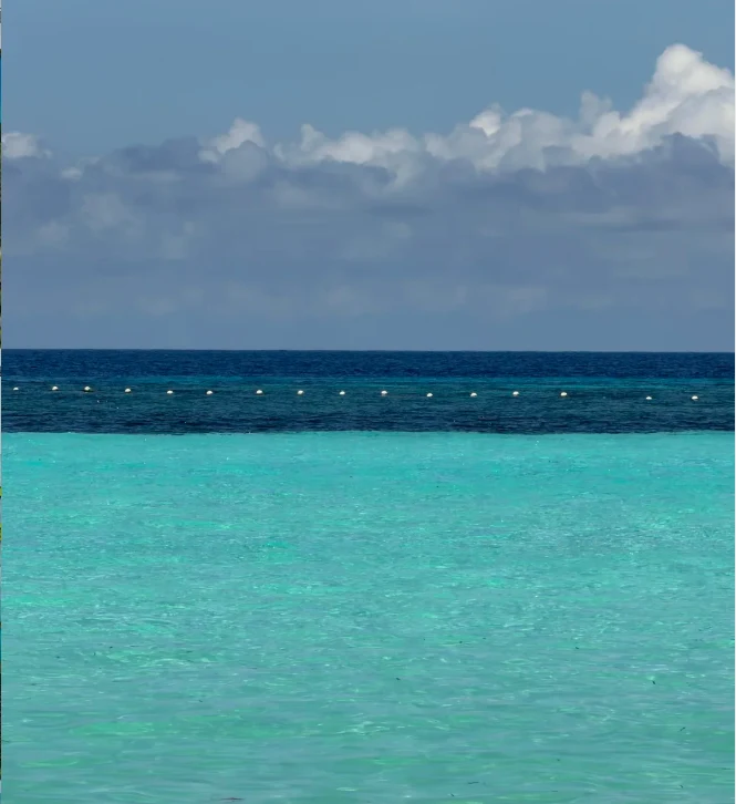 202606221440-1863733577.png image.png