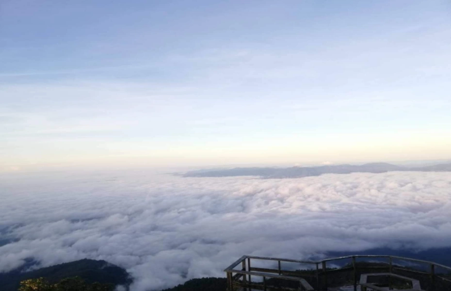 202606231716-6437878069.webp 屏幕截图 2026-06-23 171232.webp