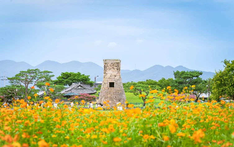 資訊配圖 8