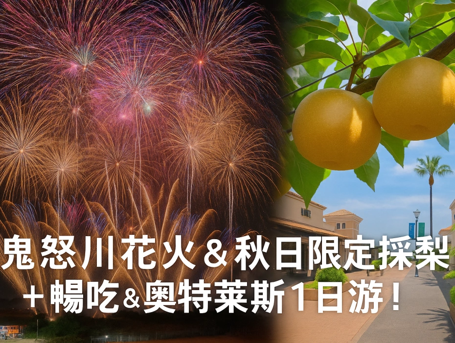 企业微信截图_1782376667122.webp