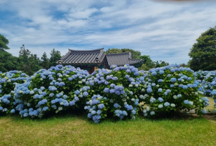 資訊配圖 8