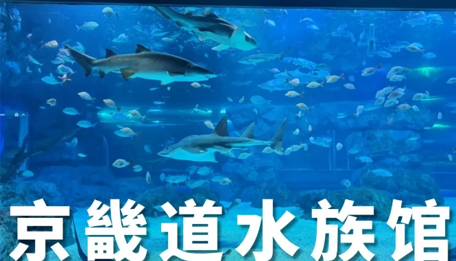 202607021423-9609511373.png image.png