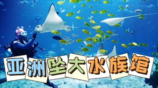 202607021500-1014101476.png image.png