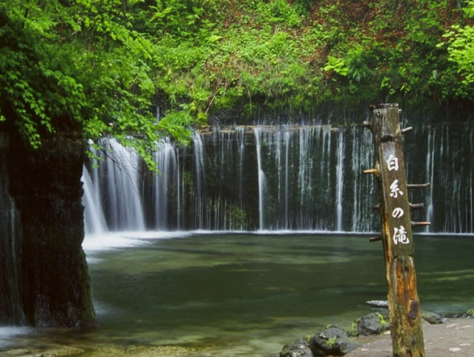 202607061101-7555809378.webp 企业微信截图_17833066671692.webp