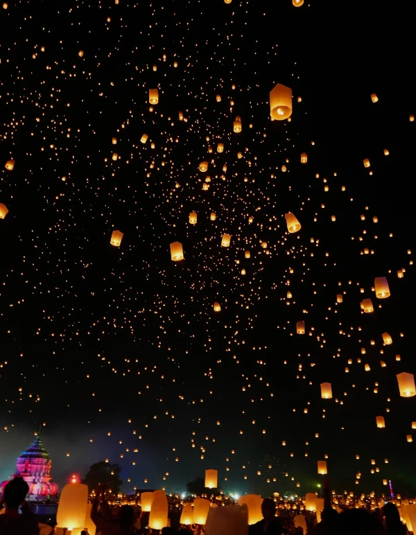 202607091355-6347812875.png image.png