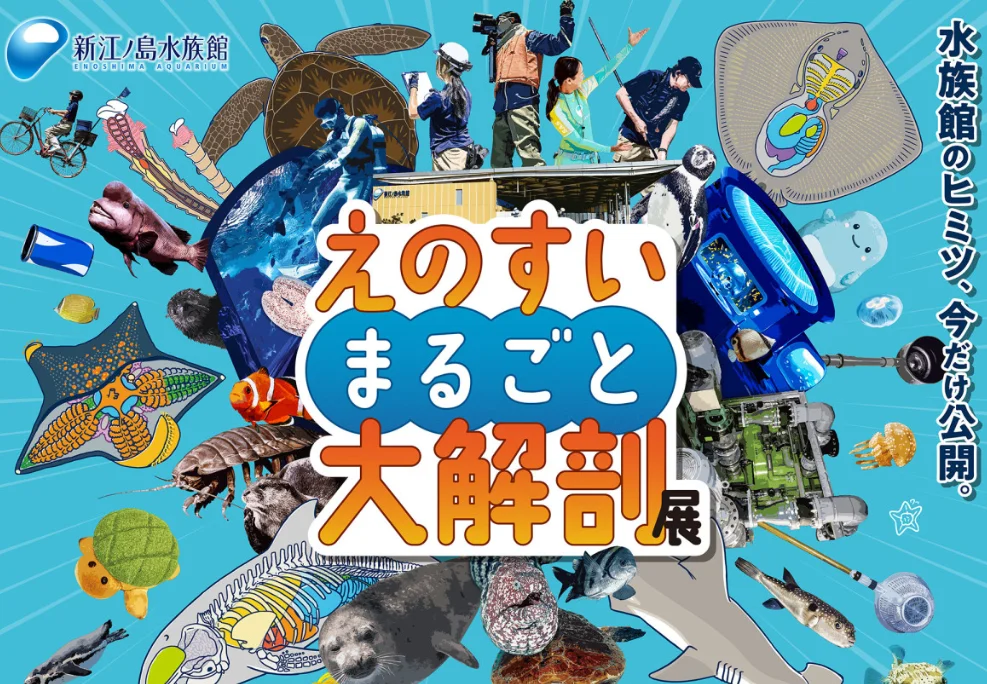 202607091607-2593374341.png image.png
