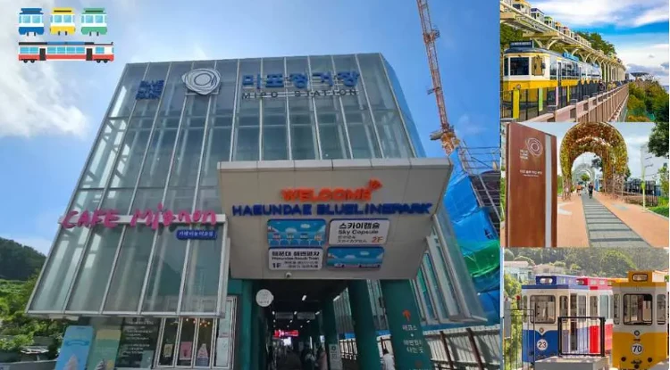 資訊配圖 2