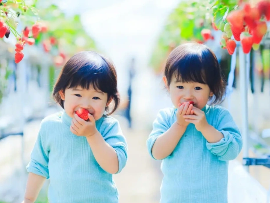資訊配圖 2