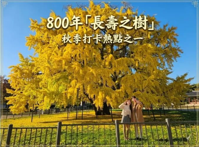 資訊配圖 1