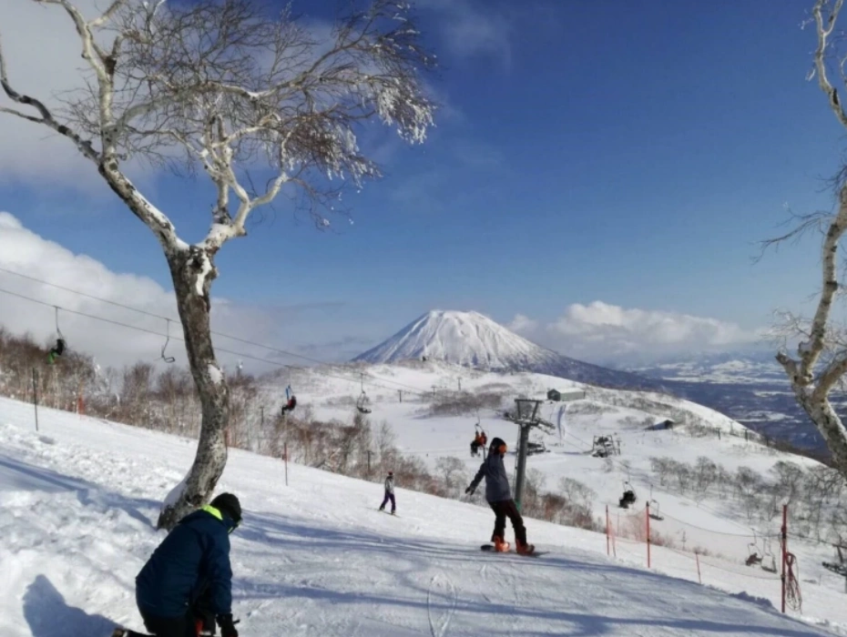 資訊配圖 2