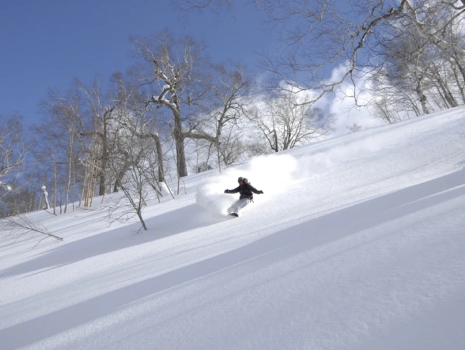 資訊配圖 4