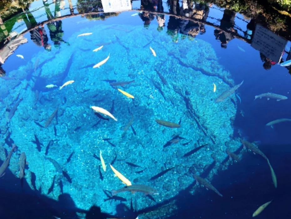 企业微信截图_17847708874513.webp